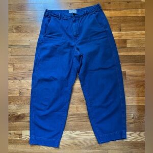 everlane the arc canvas pants blue size 12